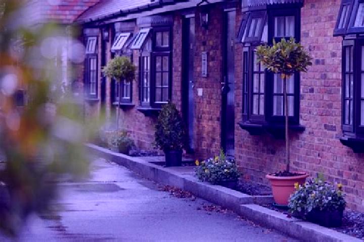 Maya, 36 — Escort in Eton, United States