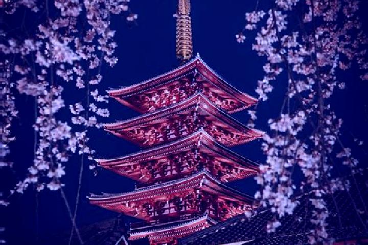 Maya, 36 — Escort in Kosuge, Japan