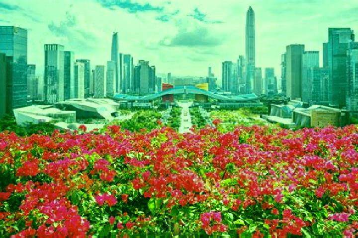 Maya, 36 — Escort in Lianhuashan, China