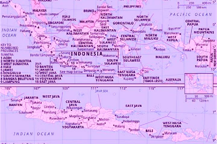 Maya, 36 — Escort in Sungaitinta, Indonesia