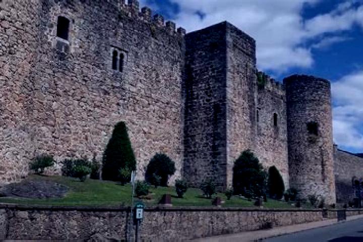 Maya, 36 — Escort in Torre Val de San Pedro, Spain