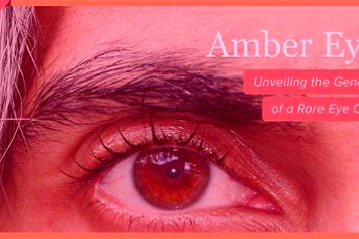 Maya, 37, a red amber-eyed caribbean companion based in Dickson. Offering Tantra, BDSM, Striptease, CIM. Available for incall and outcall, overnight bookings...