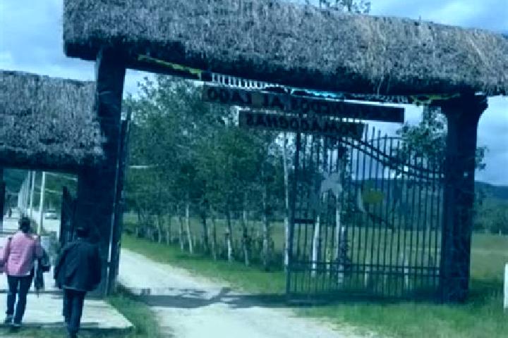 Maya, 37 — Escort in Florida ( Pomacochas), Peru