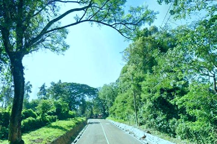 Maya, 37 — Escort in Kisii, Kenya