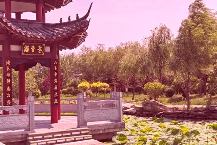 Maya, 37 — Escort in Nenjiang, China