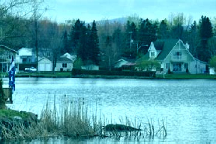 Maya, 37 — Escort in Roxton Pond, Canada