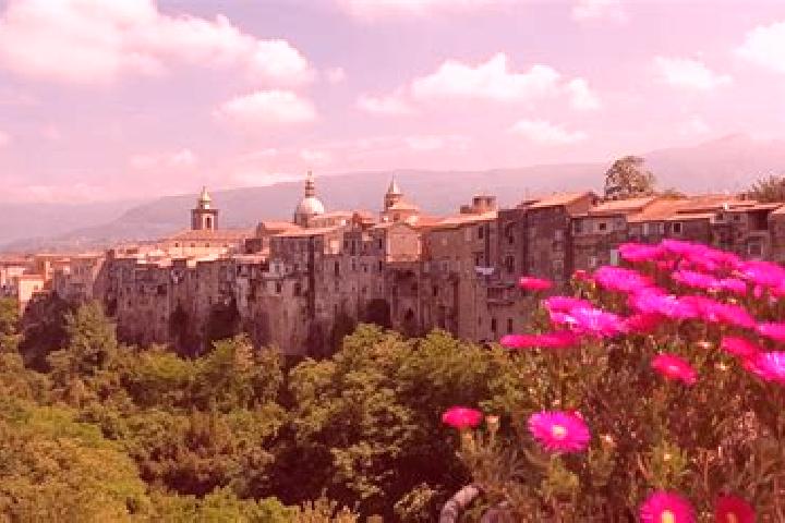 Maya, 37 — Escort in Sant Agata Fossili, Italy