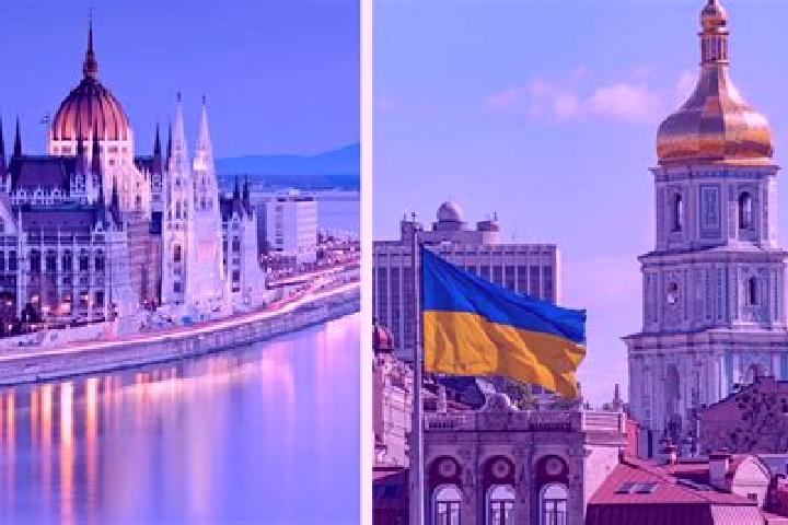 Maya, 37 — Escort in Shyrokolanivka, Ukraine