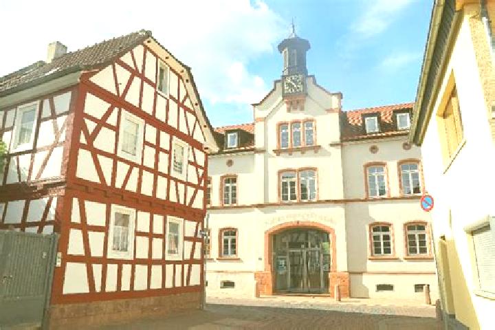 Maya, 38 — Escort in Gross-Zimmern, Germany