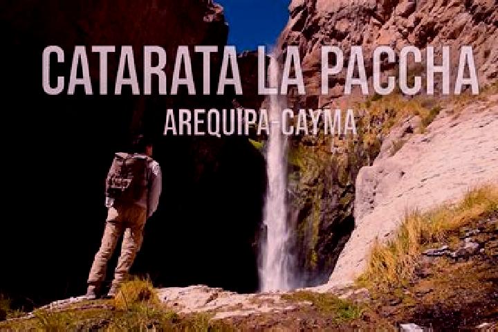 Maya, 38 — Escort in Paccha, Peru