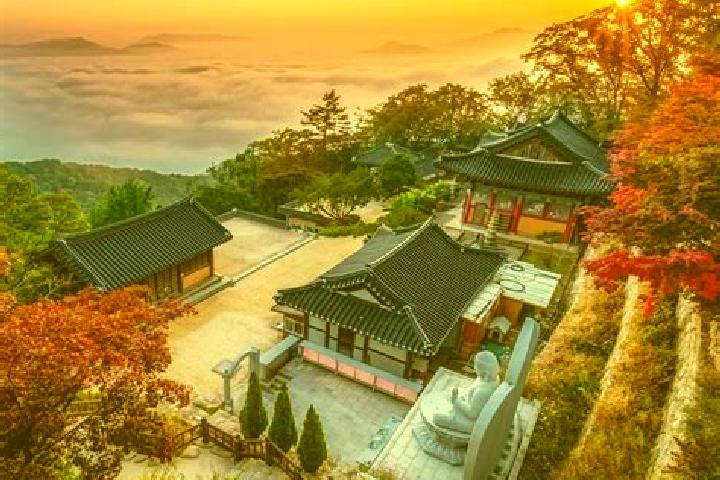 Maya, 38 — Escort in Yangju, South Korea