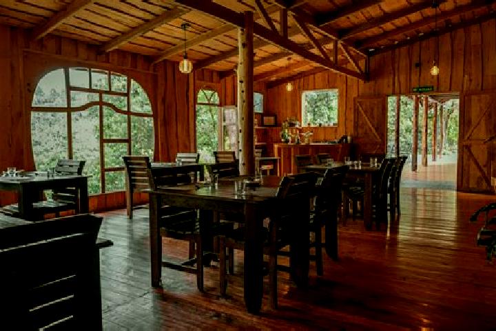 Maya, 39 — Escort in Tejar, Costa Rica