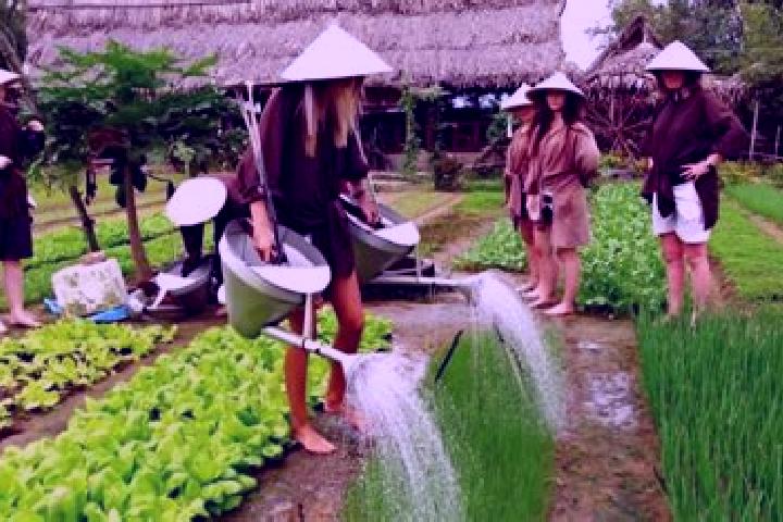 Maya, 39 — Escort in Tra Que Vegetable Village, Vietnam
