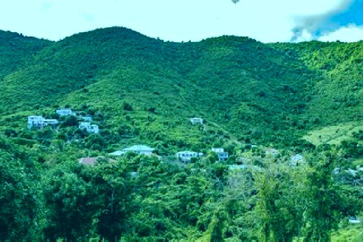 Mia, 20 — Escort in Colombier, Saint Martin