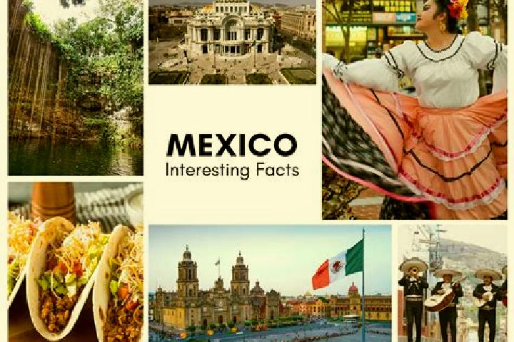 Mia, 20 — Escort in Veracrucito, Mexico