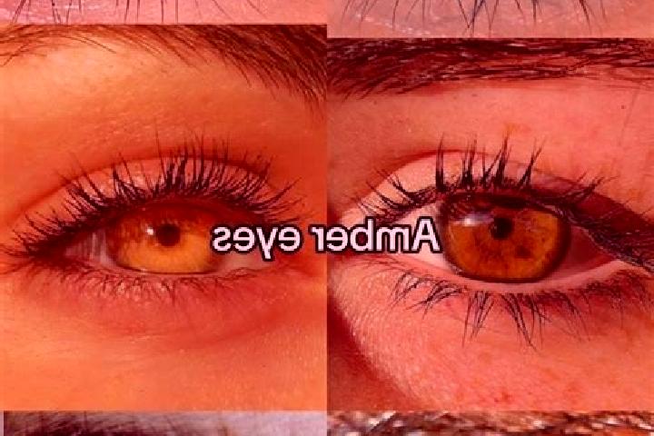 Mia, 21, a chestnut amber-eyed mixed companion based in Nagycenk. Offering Overnight, Prostate Massage, Travel Companion, Massage, Domination. Available for ...