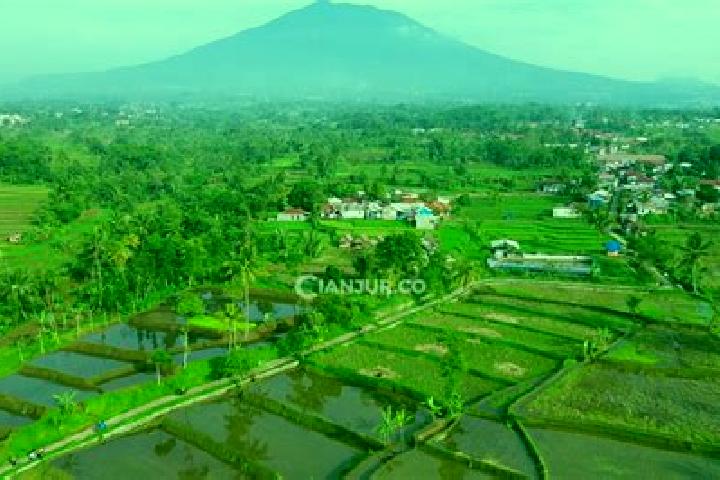 Mia, 21 — Escort in Karangtengah, Indonesia