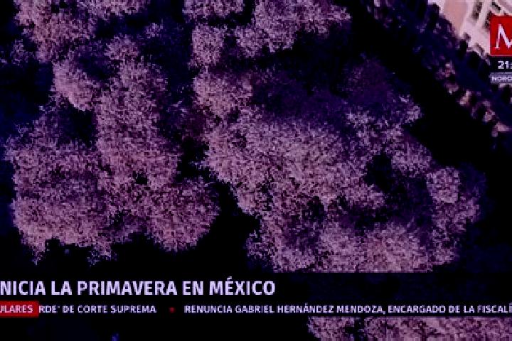 Mia, 21 — Escort in Nueva Primavera, Mexico