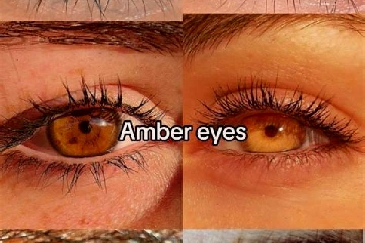 Mia, 23, a chestnut amber-eyed european companion based in Nieder Kostenz. Offering CIM, Overnight, Prostate Massage. Available for incall and outcall, day a...