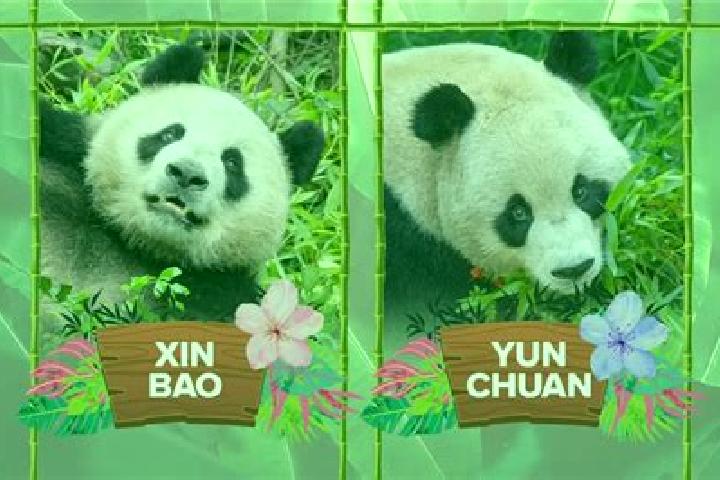 Mia, 23 — Escort in Xinbao, China