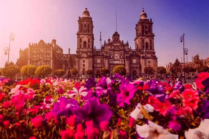 Mia, 24 — Escort in Ciudad Tula, Mexico