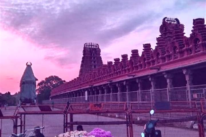 Mia, 24 — Escort in Nanjangud, India