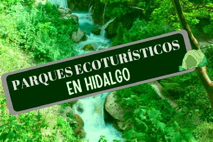 Mia, 24 — Escort in San Pedro Zictepec, Mexico