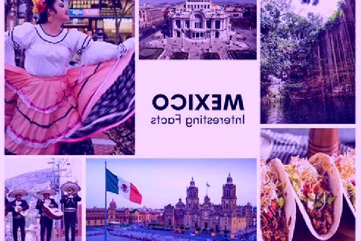 Mia, 24 — Escort in Tecpaco, Mexico