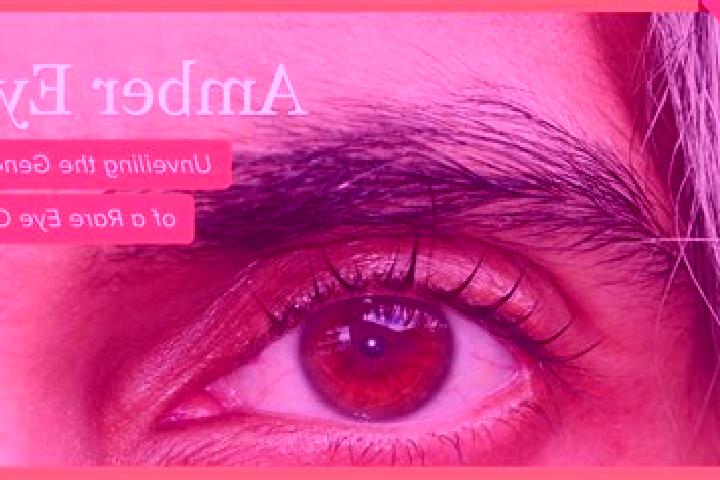 Mia, 25, a black amber-eyed ebony companion based in Qir. Offering 69, Domination, Deep French Kissing. Available for incall and outcall, overnight bookings ...