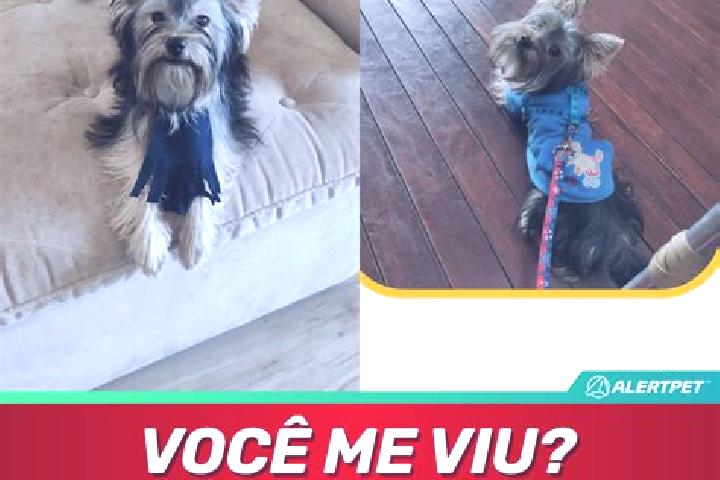 Mia, 25 — Escort in Alvinlandia, Brazil