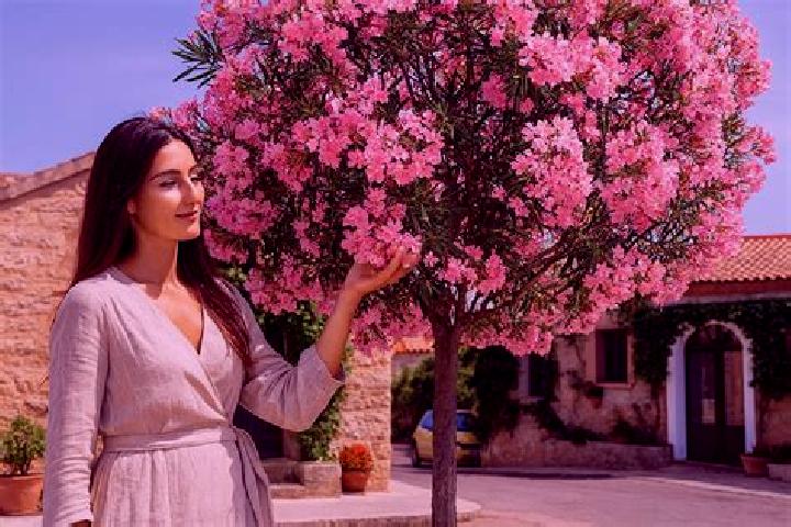 Mia, 26 — Escort in Adelfas, Spain