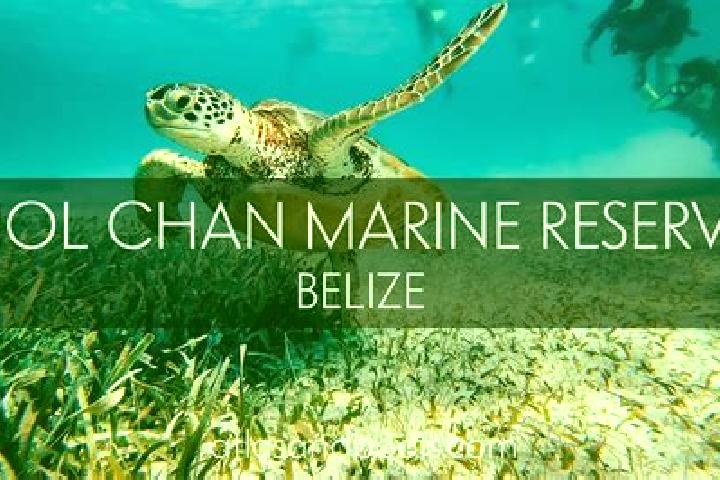 Mia, 26 — Escort in Chan Chen, Belize