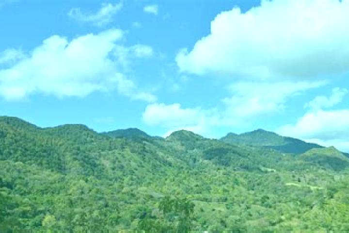 Mia, 26 — Escort in Las Sabanas, Nicaragua