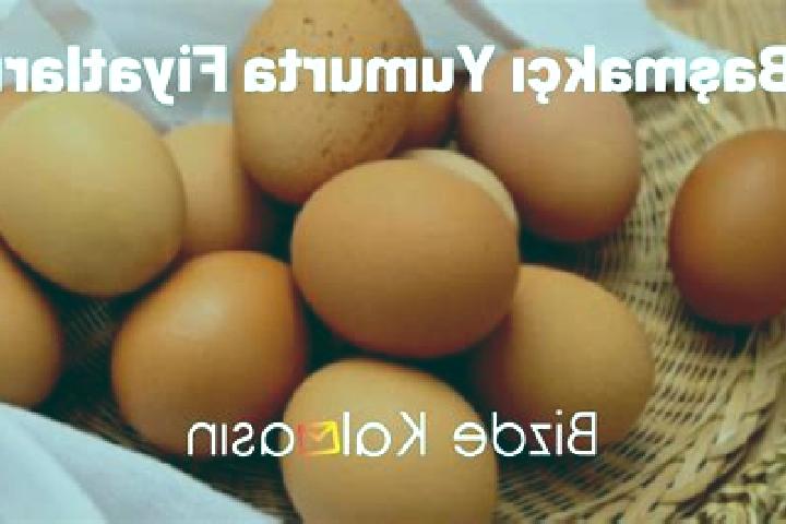 Mia, 27 — Escort in Basmakci, Turkey