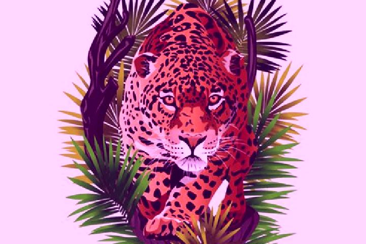 Mia, 28 — Escort in Onca, Brazil
