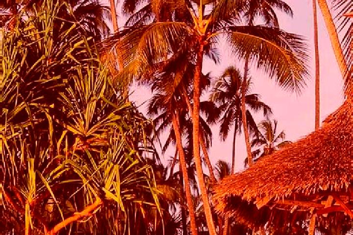 Mia, 29 — Escort in Kiratu, Tanzania