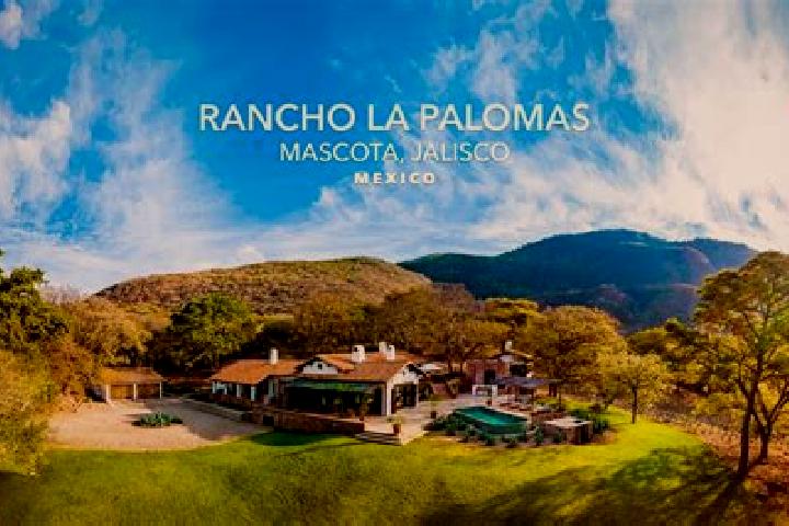 Mia, 30 — Escort in Rancho de Santiago, Mexico