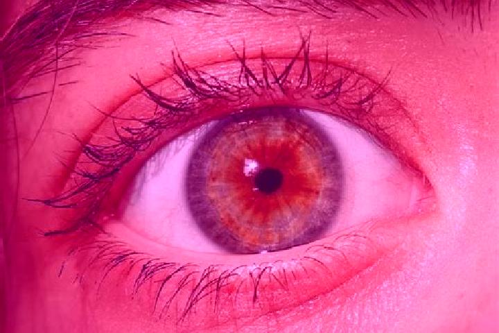 Mia, 31, a red hazel-eyed caucasian companion based in R.S. Pora. Offering Striptease, Couples, Domination, Dinner Date. Available for incall and outcall, da...