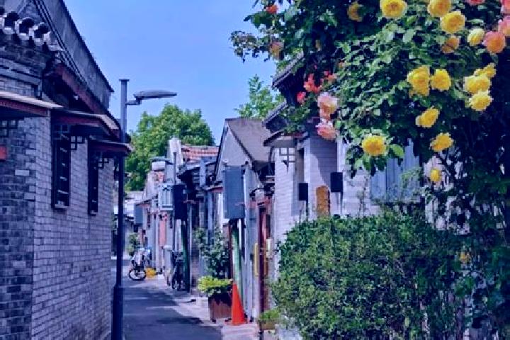 Mia, 31 — Escort in Beiling, China