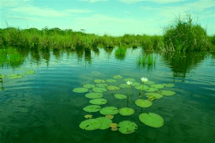 Mia, 31 — Escort in Pantanal, Mexico
