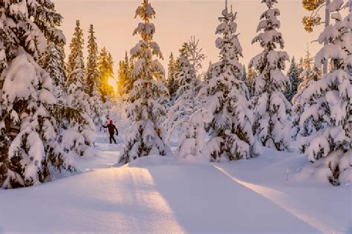 Mia, 31 — Escort in Tervakoski, Finland