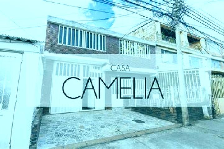 Mia, 32 — Escort in Camelia (Barrio la Camelia), Mexico