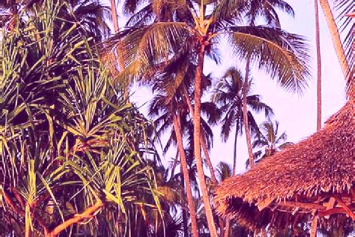 Mia, 32 — Escort in Lulindi, Tanzania