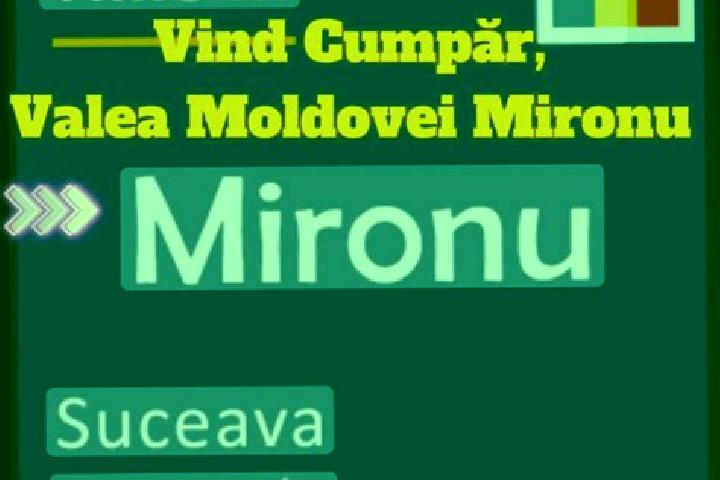 Mia, 32 — Escort in Mironu, Romania