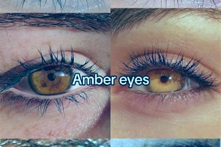 Mia, 33, a chestnut amber-eyed mediterranean companion based in Ockfen. Offering OWO, Roleplay, Travel Companion. Available for incall and outcall, day and e...