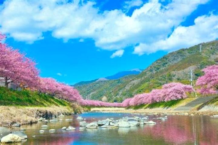 Mia, 34 — Escort in Kawazu-ikadaba, Japan