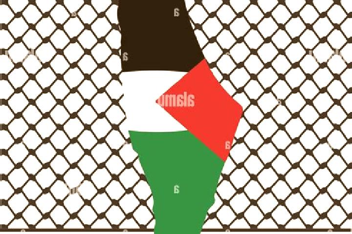 Mia, 34 — Escort in Yasuf, Palestine