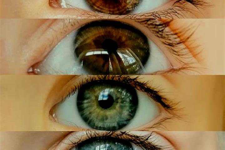 Mia, 35, a chestnut grey-eyed middle eastern companion based in Melden. Offering Tantra, Domination, CIM. Available for incall and outcall, overnight booking...