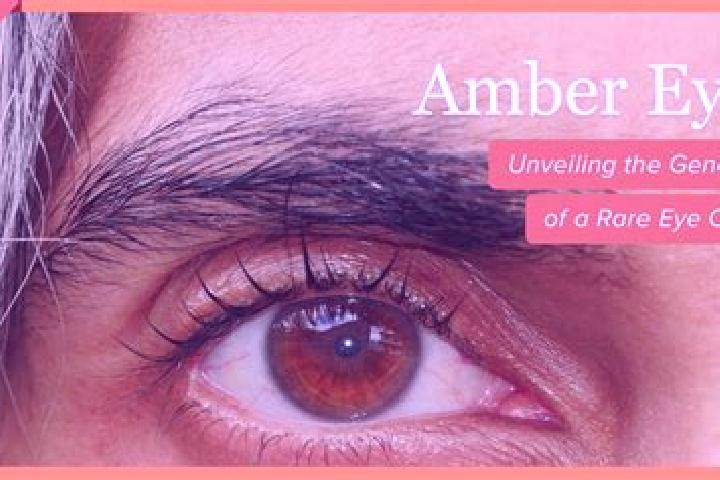 Mia, 35, a red amber-eyed ebony companion based in Mayfield. Offering Couples, 69, CIM, Erotic Massage, A-Level. Available for incall and outcall, overnight ...