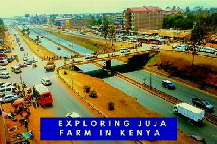Mia, 35 — Escort in Juja, Kenya